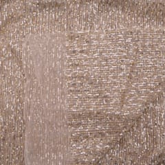 Biege Color Net Pearl and Sequin Embroidery