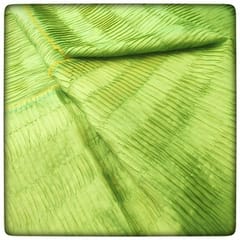 Shamal Crush Poly Silk(1 mtr cut Piece)