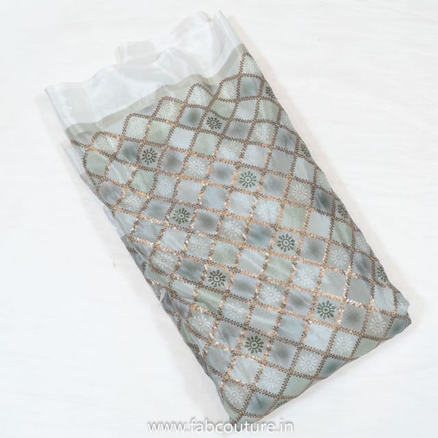 Chinon Chiffon Print With Embroidered Fabric