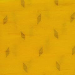 Dyeable Uppada Jacquard fabric