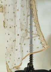 White Dyeble Net Embroidered Dupatta