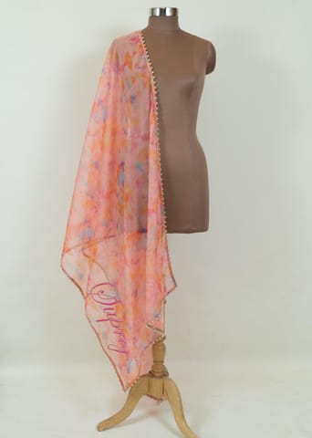 Multicolor Organza Embroidered Dupatta