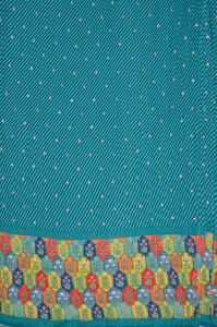 Sea green Color Embroiderd Georgette Pleated Printed Fabric with Green Border