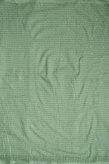 Green Color Rayon Chikan Fabric