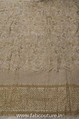 Georgette Sequins Border fabric