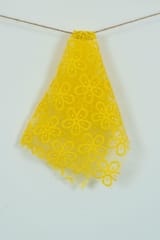 Dyeable Organza Embroidered Fabric