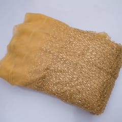 Golden Color Net Pearl and Sequin Embroidery