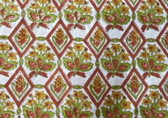 Printed Cotton Cambric Multicolor Floral