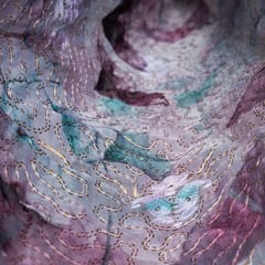 Wine Color Organza Print with Embroidered Fabric