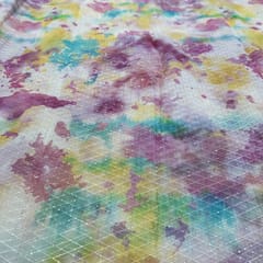 Multi Color Organza Print with Embroidered Fabric
