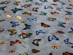 Chiffon Grey Multicolor Butterflies