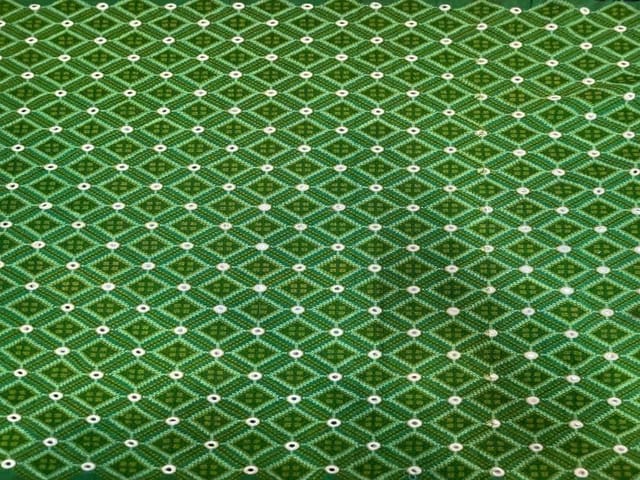 Pure Chanderi Embroidered Silk Green Geometric