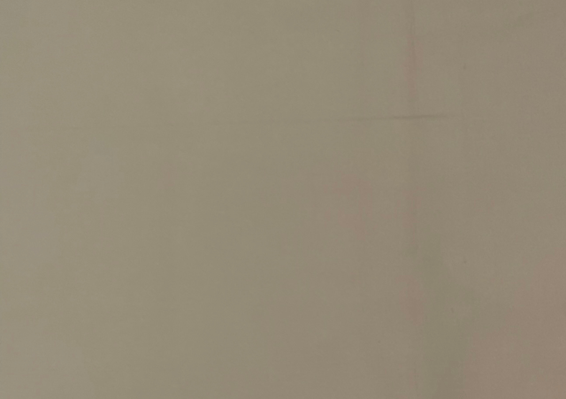 Red Beige Dual Colour Sandwich