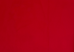 Red Beige Dual Colour Sandwich