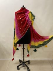 MultiColour Coloured Georgette Embroidery Duppata