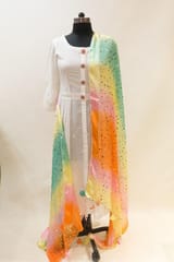 MultiColour Chiffon Dupatta