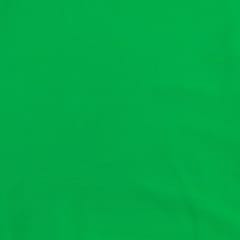 Parrot Green Poly Georgette fabric