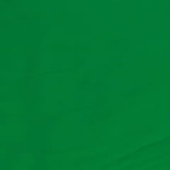 Parrot Green Colour Poly Georgette fabric