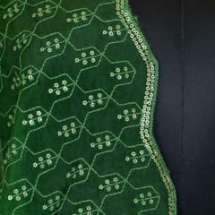 Green Colour Organza Embroidered Dupatta