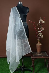 Dyeable Organza Scalped Sequins Embroidered Dupatta