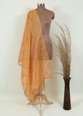 Peach Colour Crush Art Tissue Silk Hand Embroidered Dupatta