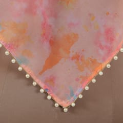 MultiColour Organza Embroidered Dupatta