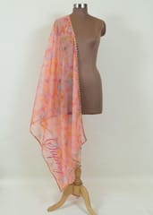 MultiColour Organza Embroidered Dupatta