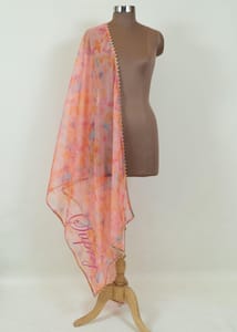 MultiColour Organza Embroidered Dupatta