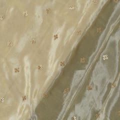 Dyeable Tissue Uppada Silk Embroidered Fabric
