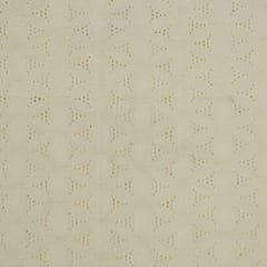 Dyeable Cotton Chikan Embroidered Fabric