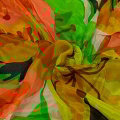 Multi Colour Chiffon Digital Printed Fabric