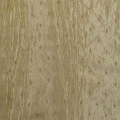 Dyeable Tissue Upada Embroidered Fabric