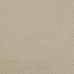Off White Colour Dyeable Cotton Chikan Embroidered Fabric
