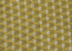 Printed Cotton Cambric Mustard White Flowers