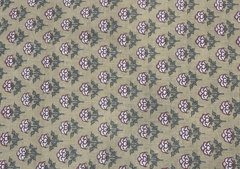 Printed Cotton Cambric Beige White Flowers