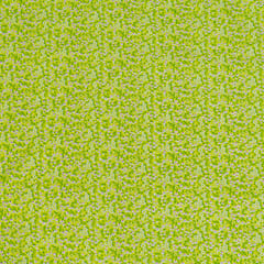 Neon Colour Cotton Cambric Printed Fabric (1.60Meter Piece)
