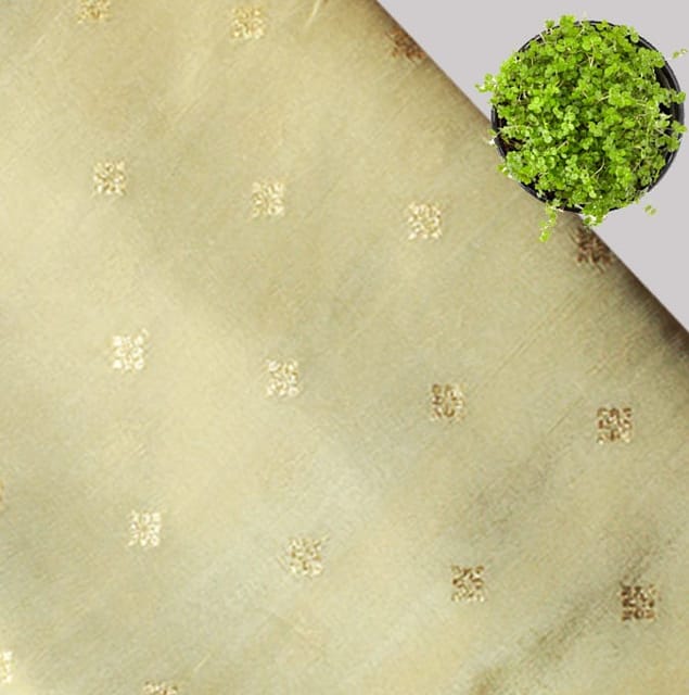 Golden Beige Gold Zari Floral Butti Dyeable Fabric