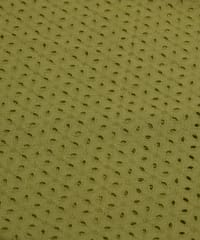 Parrot Green Embroidered Cotton Hakoba Fabric