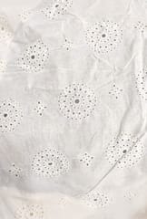 Natural Colour Dyeable Panta Floral Pattern Schiffli Embroidered Fabric