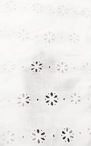 Natural Colour Dyeable Panta Floral Pattern Schiffli Embroidered Fabric