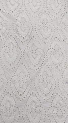 Natural Colour Dyeable Panta Floral Pattern Schiffli Embroidered Fabric
