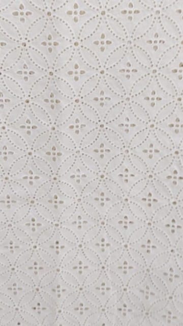 Natural Colour Dyeable Panta Floral Pattern Schiffli Embroidered Fabric