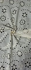 Natural Colour Dyeable Panta Floral Pattern Schiffli Embroidered Fabric