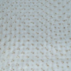 Dyeable Organza Embroidered Fabric