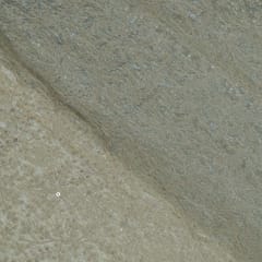 Dyeable Tissue Upada Zari Embroidered Fabric