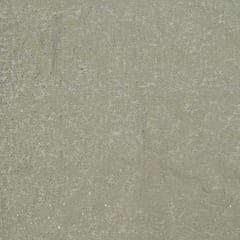 Dyeable Tissue Upada Zari Embroidered Fabric