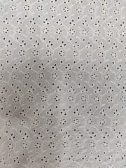 Natural Colour Dyeable Panta Floral Pattern Schiffli Embroidered Fabric