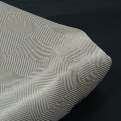 Dyeable Brocade Organza Fabric