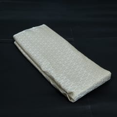 Dyeable Brocade Fabric