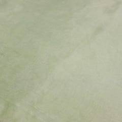 Pastel Green Plain Uppada Silk fabric